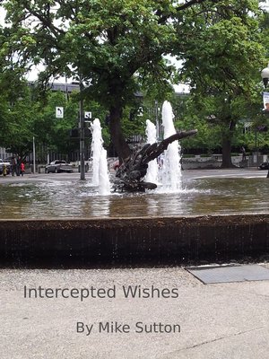 cover image of Intercepted Wishes